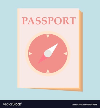 International passport template with sample vector image