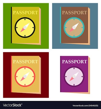 International passport template with sample vector image