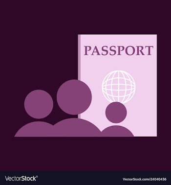 International passport template with sample vector image