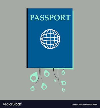 International passport template with sample vector image