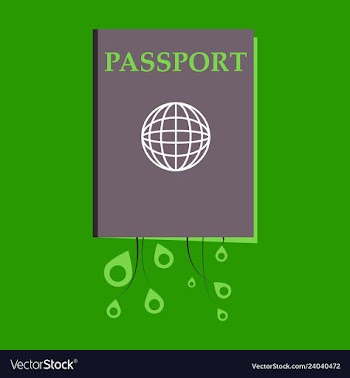 International passport template with sample vector image