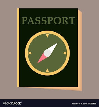 International passport template with sample vector image