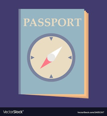 International passport template with sample vector image