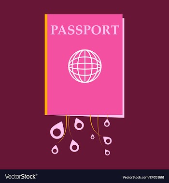 International passport template with sample vector image