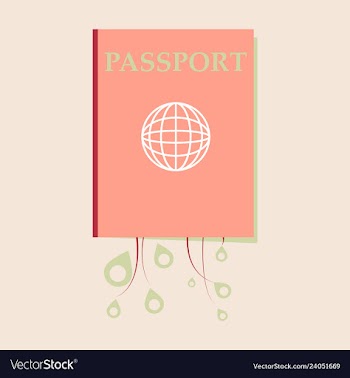 International passport template with sample vector image