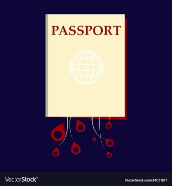 International passport template with sample vector image