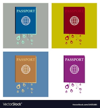 International passport template with sample vector image