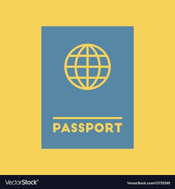 International passport vector image