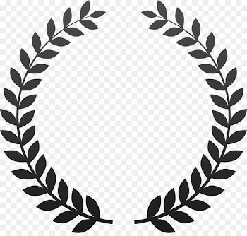 International Puerto Rican Heritage Film Festival Award - Vegetable lace 
