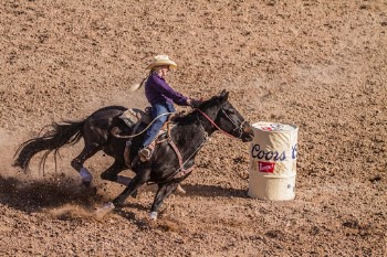 International Women’s Day

This woman and her horse competed in the Barrel Racing Championship at the Tucson, Rodeo.  Barrel Racing requires a fearless attitude, a powerful body, a fearless spirit and teamwork between the horse and rider.