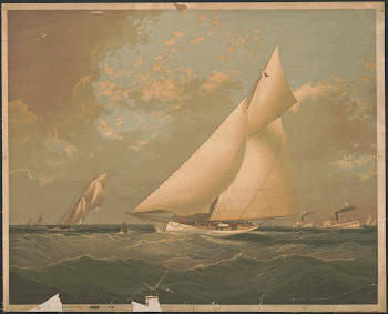 International yacht race between "Purtian | Free Photo - rawpixel