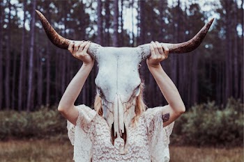 Into The Wild