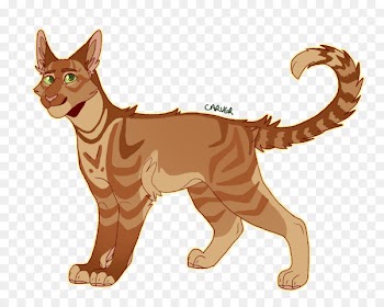 Into the Wild Cat Forest of Secrets Firestar Warriors - cat 