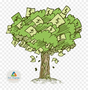 Introducing Our Newest Product Money Tree - Clip Art