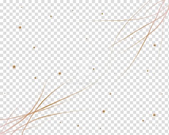 Invertebrate Line Point Water Close-up, brown Abstract transparent background PNG clipart