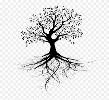 Invest In Ceiba Beach Resort And Residences - Transparent Tree Of Life With Roots