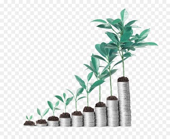 Investment Stock Dividend Finance Short -  