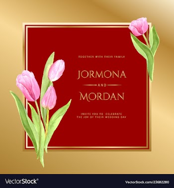 Invitation greeting card template vector image