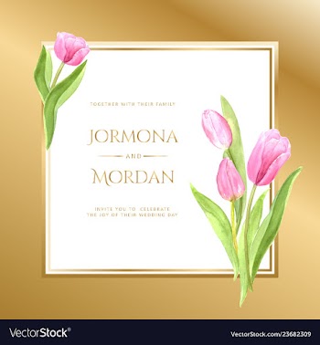Invitation greeting card template vector image