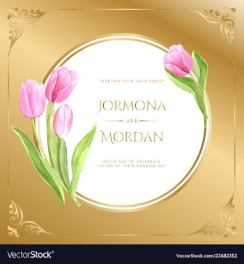 Invitation greeting card template vector image