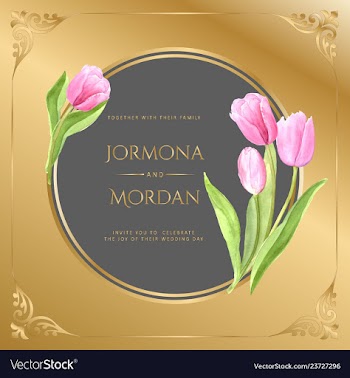 Invitation greeting card template vector image