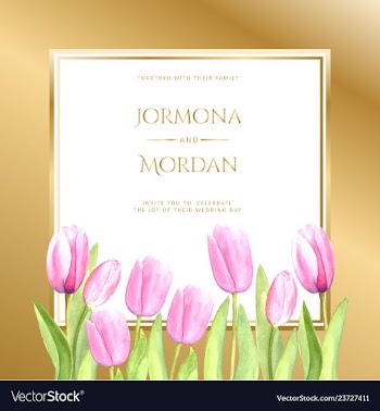Invitation greeting card template vector image