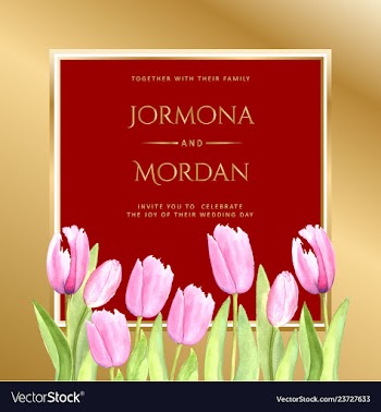 Invitation greeting card template vector image