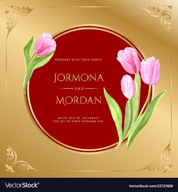 Invitation greeting card template vector image