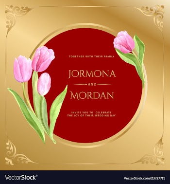 Invitation greeting card template vector image