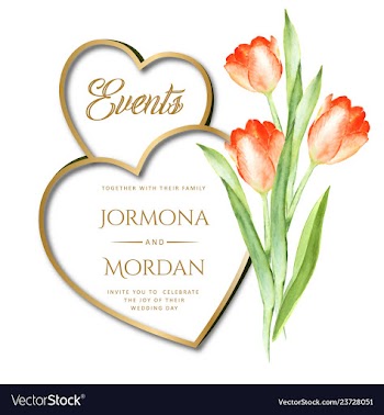 Invitation greeting card template vector image
