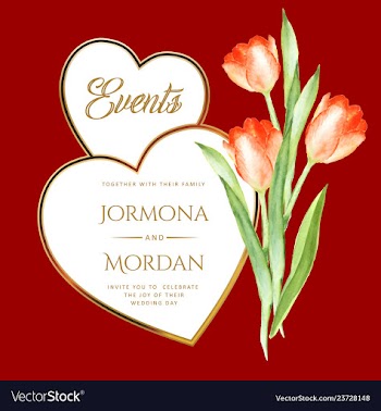 Invitation greeting card template vector image