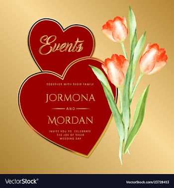 Invitation greeting card template vector image