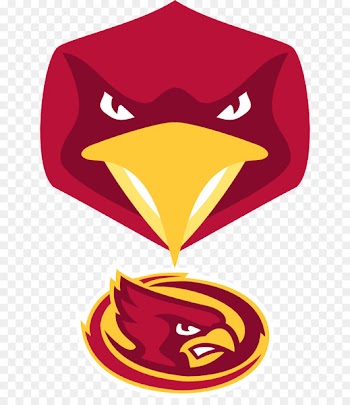 Iowa State University Iowa State Cyclones football Iowa State Cyclones softball NCAA Division I Football Bowl Subdivision Iowa State Cyclones women's basketball - american football 