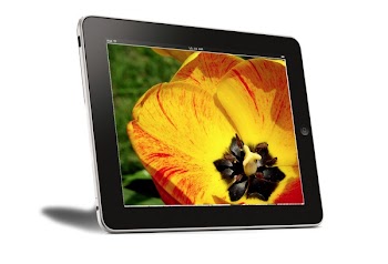 ipad.06.png