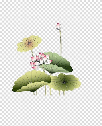 IPad Ink wash painting , Lotus leaf lotus transparent background PNG clipart