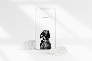 iPhone 12 PRO Clay Scene Free Mockup