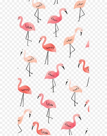iPhone 4S iPhone 8 iPhone 5s iPhone 5c Wallpaper - Flamingos 
