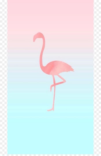 iPhone 6 iPhone 7 Flamingos Desktop Wallpaper Wallpaper - flamingo 