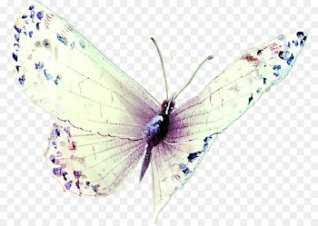 iPhone 7 Butterfly Nymphalidae - Illustration Silhouette,butterfly,Beautiful butterfly,dream,Sen Department of retro,Beautiful,watercolor 