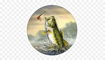 iPhone 8 Bass fishing Largemouth bass - Fishing 