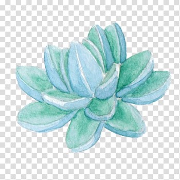 IPhone, succulant transparent background PNG clipart