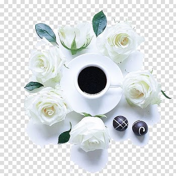 Ipoh white coffee Cafe Beach rose Ipoh white coffee, White roses and coffee transparent background PNG clipart