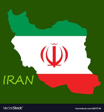 Iran republic flag map vector image