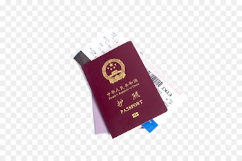 Iraqi passport Chartered Financial Analyst Travel visa Education - Passport 