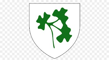 Ireland women's national cricket team University of Cambridge Student - cricket 