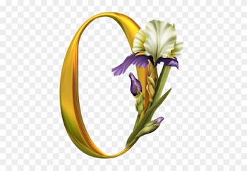 Iris Alphabet - Alphabet