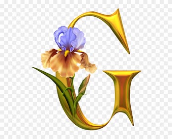 Iris Alphabet - Tube Alphabet