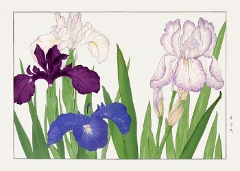 Iris flower woodblock painting by Tanigami | Free Photo Illustration - rawpixel