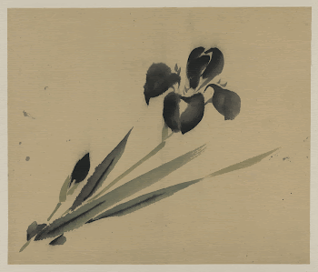 [Iris?]. Original from the Library | Free Photo - rawpixel