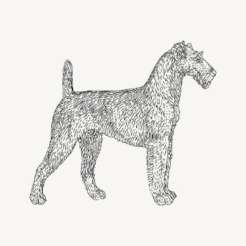 Irish Terrier dog sticker, vintage | Free Vector - rawpixel